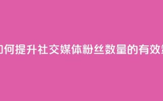 粉丝太少怎么办 - 如何提升社交媒体粉丝数量的有效策略与技巧!