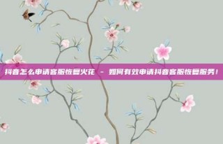抖音怎么申请客服恢复火花 - 如何有效申请抖音客服恢复服务!