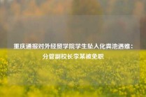 重庆通报对外经贸学院学生坠入化粪池遇难：分管副校长李某被免职