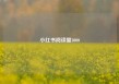 小红书阅读量3000