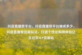 抖音直播放平台，抖音直播放平台抽成多少，抖音直播带货新玩法，打造个性化购物体验亿乐社区SUP货源站