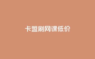 卡盟刷网课低价 - 高效实惠的在线课程刷课服务-卡盟刷网课~
