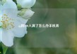 qq群200人满了怎么办手机弄