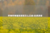 哔哩哔哩播放速度怎么总是2倍速速度