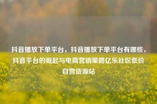 抖音播放下单平台，抖音播放下单平台有哪些，抖音平台的崛起与电商营销策略亿乐社区低价自营货源站