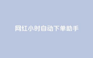 网红24小时自动下单助手 - 网红全天候自动下单助手助你轻松购物。