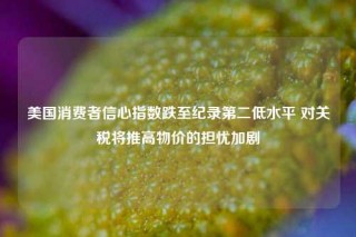 美国消费者信心指数跌至纪录第二低水平 对关税将推高物价的担忧加剧