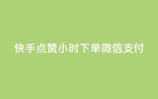 快手点赞24小时下单微信支付,雷神24小时自动下单平台 - 抖音评论业务 - 1元3000粉丝不掉粉丝