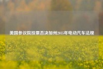 美国参议院投票否决加州2035年电动汽车法规