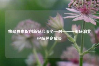 集聚要素促创新贴心服务一对一——重庆渝北护航民企成长