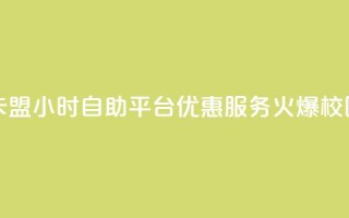 卡盟24小时自助平台优惠服务火爆校园