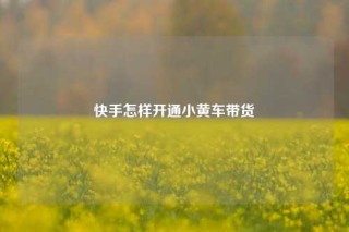 快手怎样开通小黄车带货