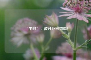 “牛散”，被开巨额罚单！