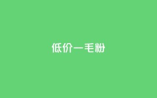 低价Ks一毛1000粉 - 超值Ks优惠 1000粉仅需一毛~