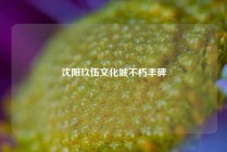 沈阳玖伍文化城不朽丰碑