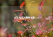 会员充值消费明细表excel