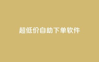 ks超低价自助下单软件,自助下单24小时平台ks - dy自助下单全网最低 - 卡盟一手货源网站
