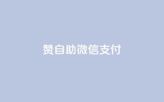 Ks赞自助微信支付,抖音点赞秒到账 - ks一元1000个赞秒到软件 - ks免费业务网址