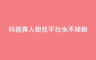抖音真人粉丝平台 永不掉粉,qq云商城网站 - 拼多多帮砍助力网站便宜 - 暑假赚钱项目拼多多助力项目