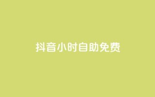 抖音24小时自助免费,一元秒杀 - b站24小时下单平台网站 - ks24小时下单平台低价