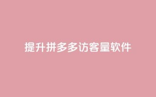 提升拼多多访客量软件