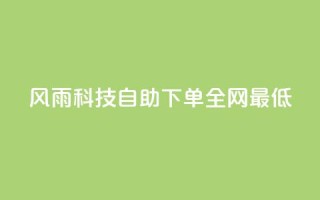 风雨科技自助下单全网最低 - 风雨科技自助下单，价格最低，全网首选!