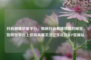 抖音刷播放量平台，揭秘抖音刷播放量的秘密，如何在平台上获得海量关注亿乐社区SUP货源站