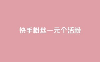 快手粉丝一元1000个活粉 - 快手粉丝活粉达1千个，仅需1元！!
