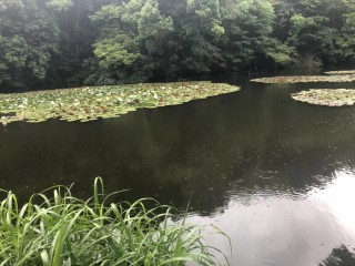 花开之处，便是故地