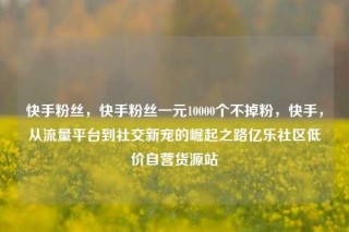 快手粉丝，快手粉丝一元10000个不掉粉，快手，从流量平台到社交新宠的崛起之路亿乐社区低价自营货源站