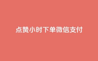 点赞24小时下单微信支付 - 24小时内轻松下单,微信支付便捷无忧!