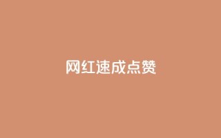 网红速成点赞,0.5自助下单 - 自助下单dy超低价 - 抖音在线刷播放APP