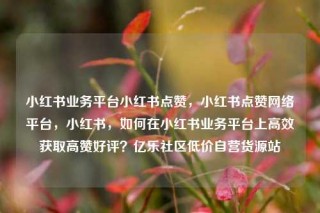 小红书业务平台小红书点赞，小红书点赞网络平台，小红书，如何在小红书业务平台上高效获取高赞好评？亿乐社区低价自营货源站