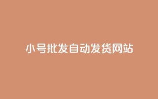 dy小号批发自动发货网站,ks小号发卡平台 - ks业务自助下单软件最低价 - 卡盟交易平台