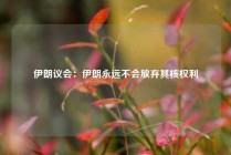 伊朗议会：伊朗永远不会放弃其核权利