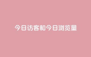 今日访客和今日浏览量,网红商城快手业务24小时营业 - pdd提现700套路最后一步 - 全网最低价业务网站