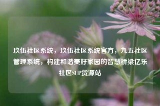 玖伍社区系统，玖伍社区系统官方，九五社区管理系统，构建和谐美好家园的智慧桥梁亿乐社区SUP货源站