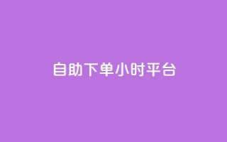 自助下单24小时平台ks,秒赞网哪个好 - QQ空间访客量网站 - qq说说赞在线自助下单