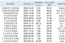 有基金年内大涨超50%！除了港股创新药，基金经理还看好AI医疗