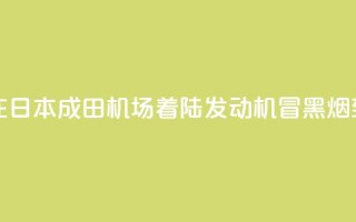 新航波音客机在日本成田机场着陆 发动机冒黑烟致跑道一度关闭