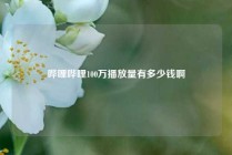 哔哩哔哩100万播放量有多少钱啊