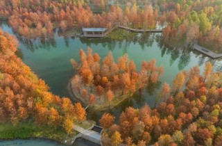 上海市重大工程一季度开局良好，多项生态类项目按计划实施