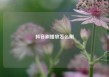 抖音刷播放怎么刷