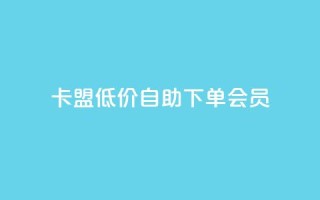 卡盟低价自助下单会员,qq访客充值 - qq互赞群在哪里找 - qq会员超级会员多少钱