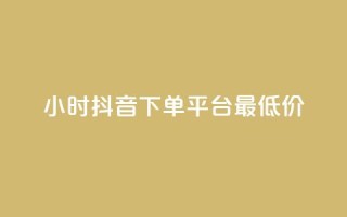 24小时抖音下单平台最低价 - 抖音24小时最低价下单平台,尽享超值优惠!