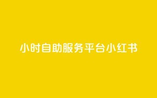 24小时自助服务平台小红书 - 小红书24小时自助服务平台，实用又便捷~
