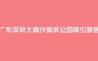 广东深圳:大梅沙海滨公园吸引游客