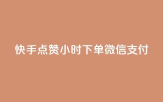 快手点赞24小时下单微信支付,抖音自助商城 - 免费业务网 - 云小店24小时自助下单