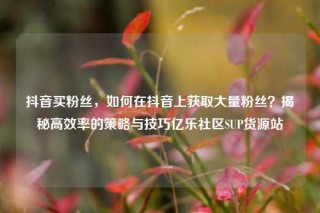 抖音买粉丝，如何在抖音上获取大量粉丝？揭秘高效率的策略与技巧亿乐社区SUP货源站