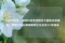 抖音买粉丝，揭秘抖音如何购买大量粉丝的秘密，数据分析与策略解析亿乐社区SUP货源站
